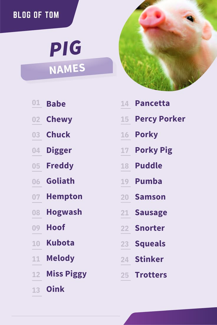Budgeting for Parrots