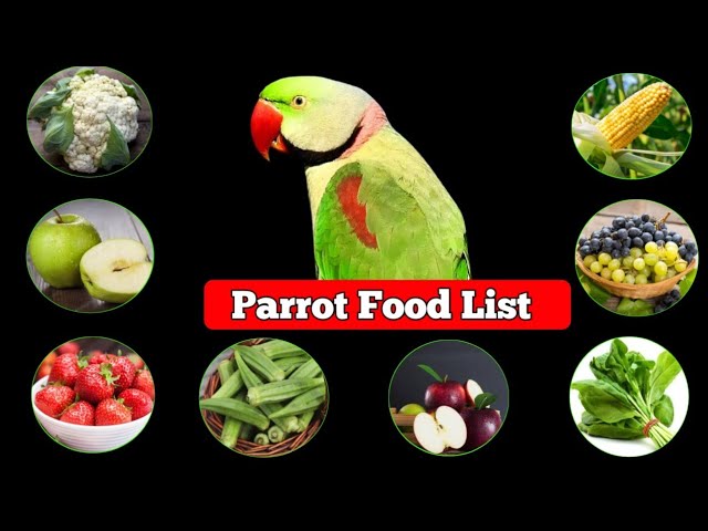 A colorful selection of parrot food