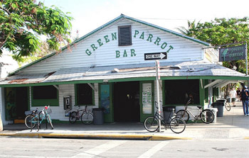 Green Parrot in Key West