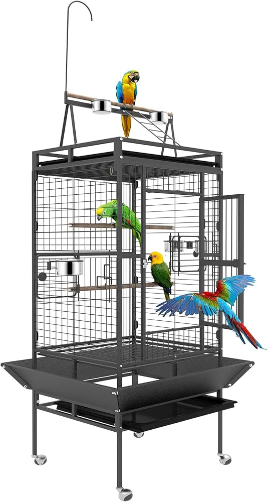 Essential Guide to Choosing the Best Parrot Cages for Modern Bird Care in 2025