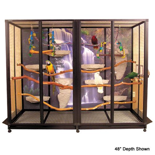 Colorful Parrot Cages