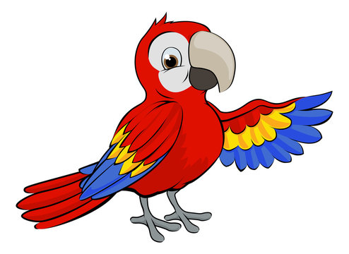 Parrot Cartoon