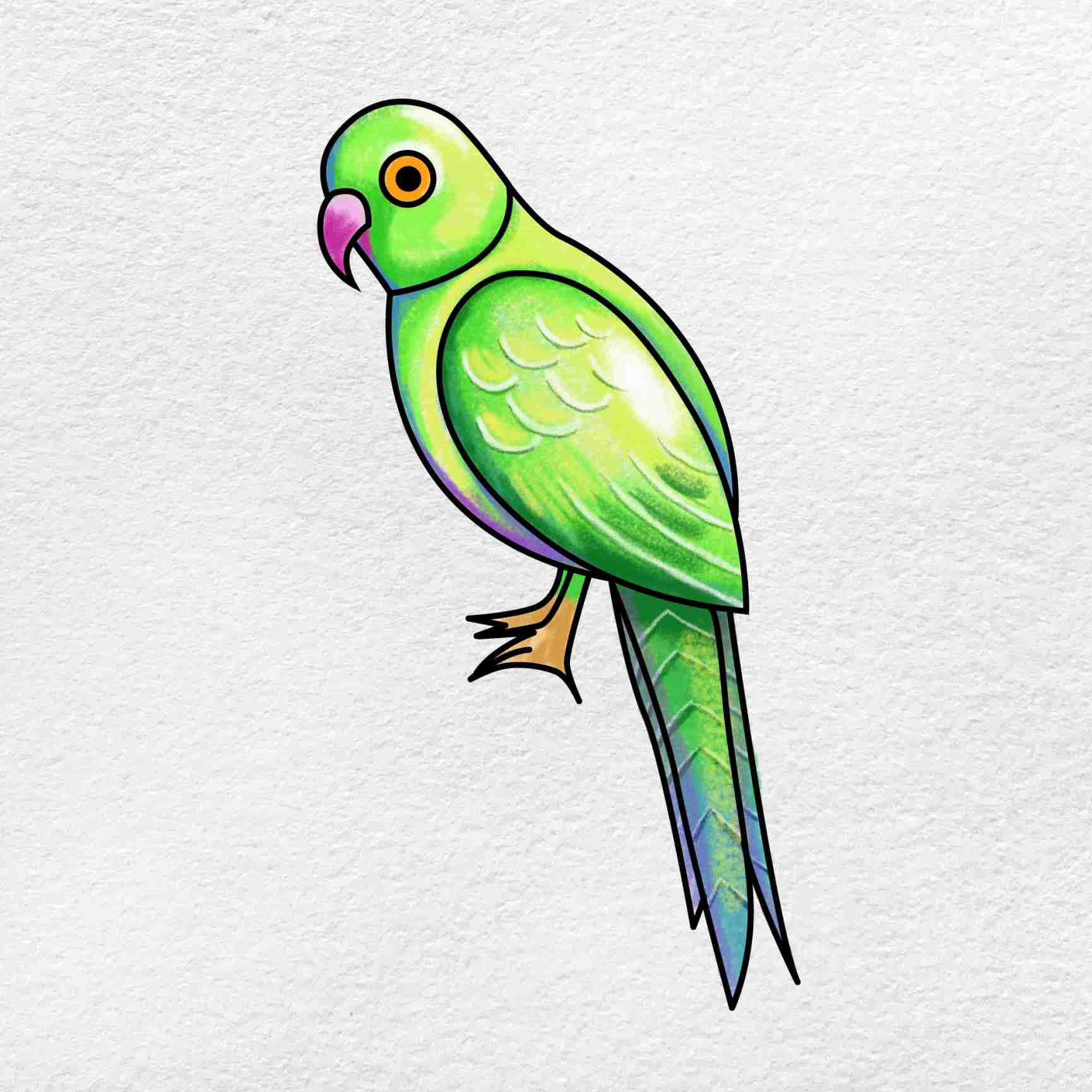 Simple Guide to Easy Parrot Drawing Techniques for Beginners in 2025