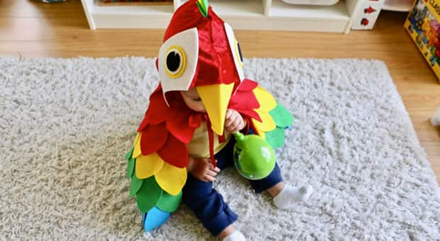 Best 5 Parrot Costume Ideas for a Vibrant 2025 Celebration!