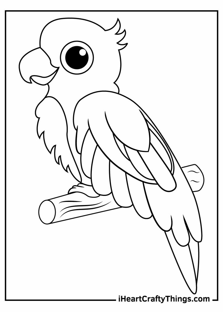 Discover 7 Fun and Creative Parrot Coloring Page Ideas for 2025!