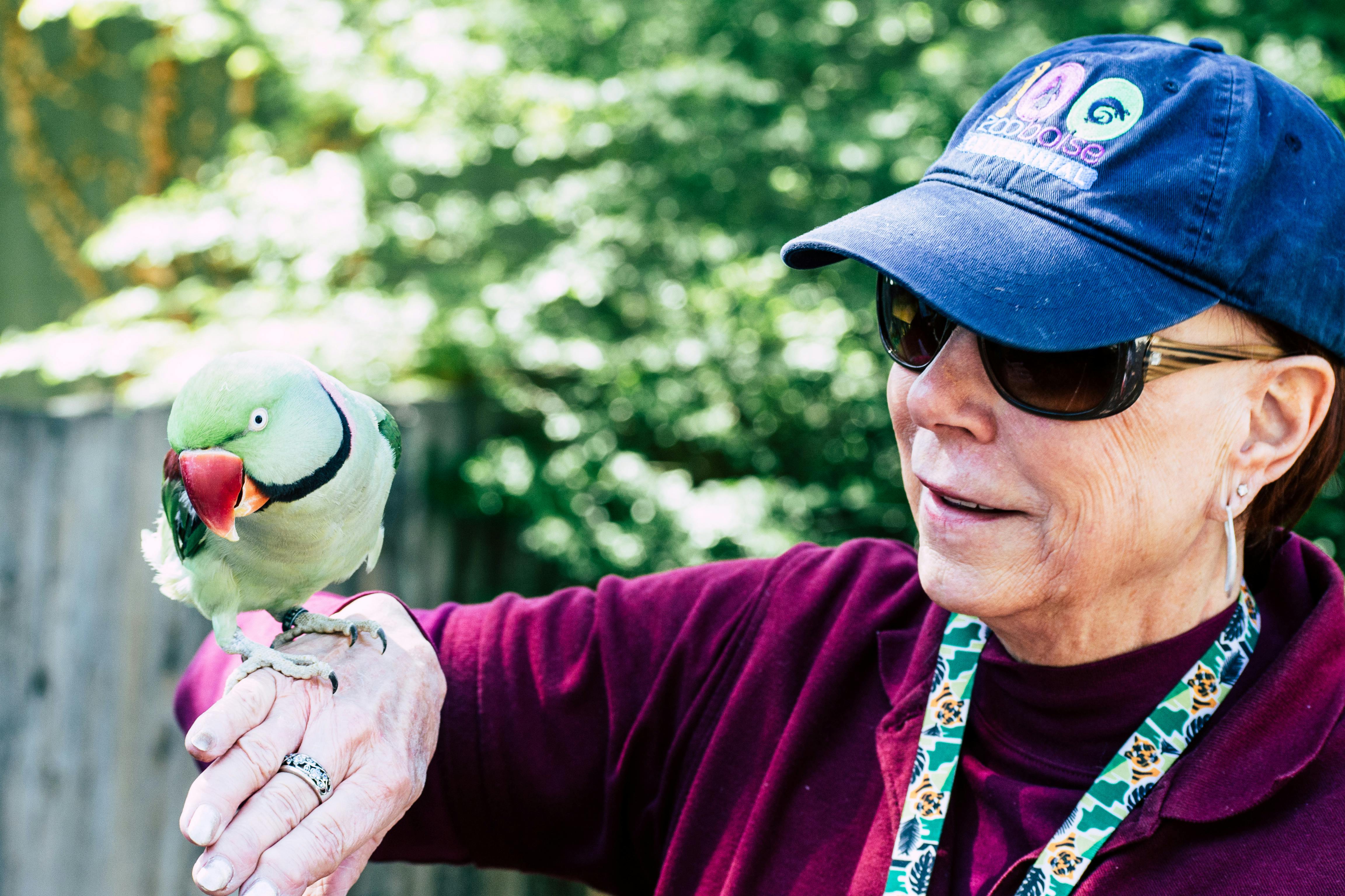 Parrot Interaction