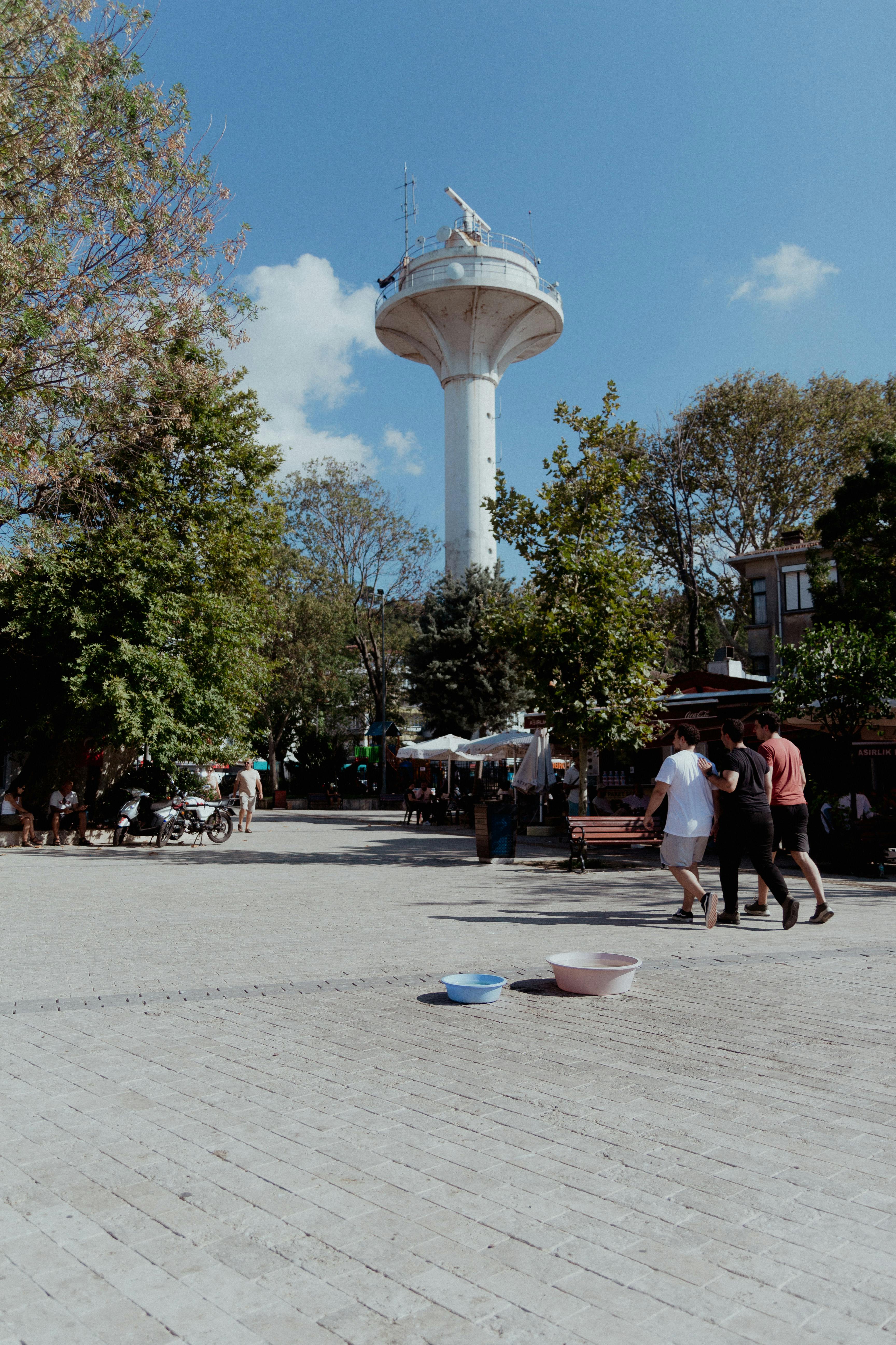 Parrot Island Scene