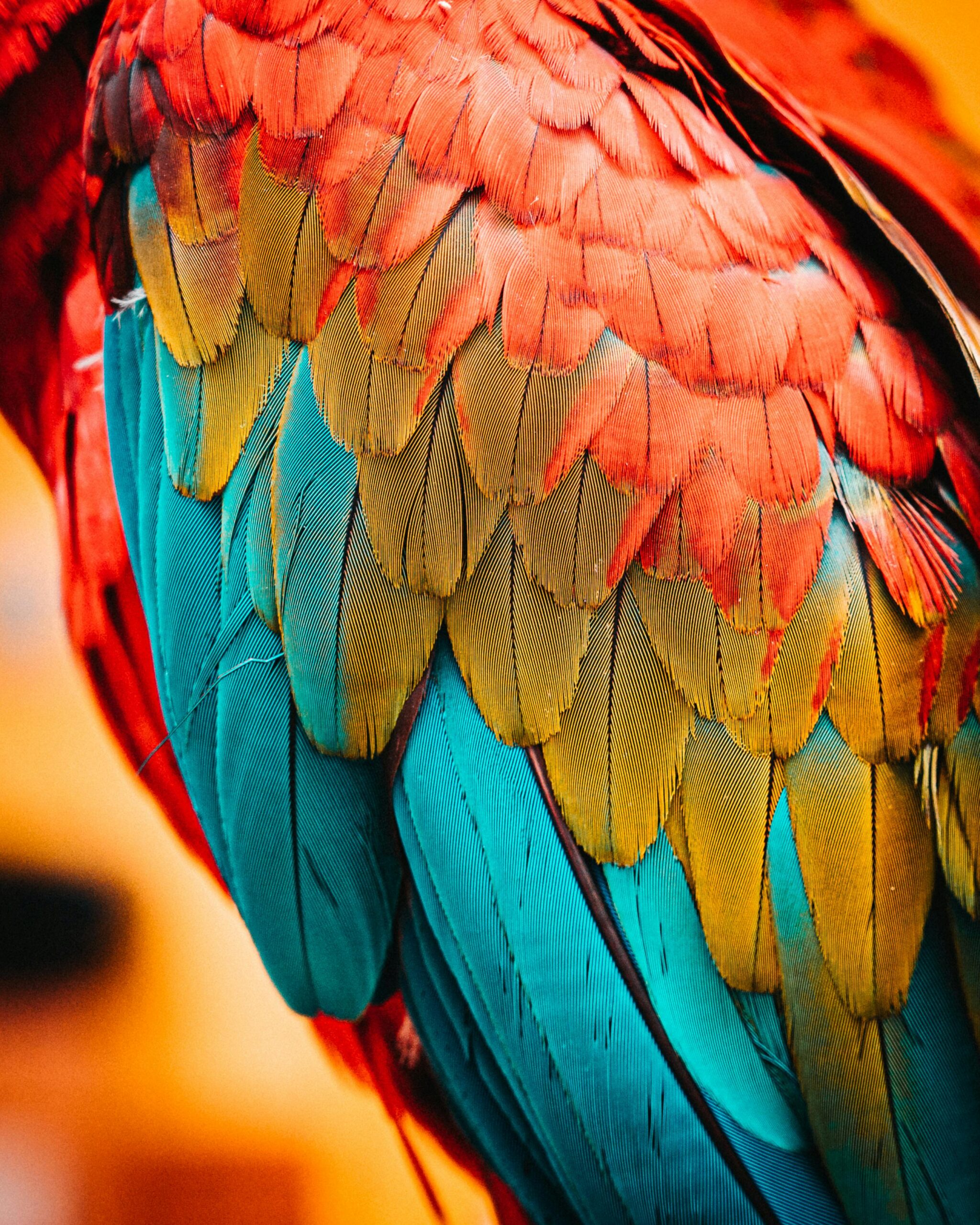 Effective Ways to Manage Parrot Fever in 2025: Discover Proven Solutions